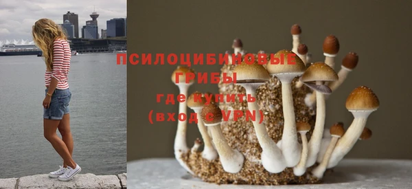 винт Абаза