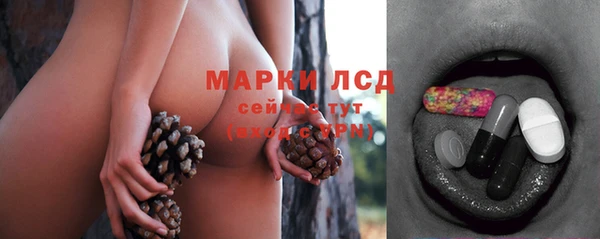 винт Абаза