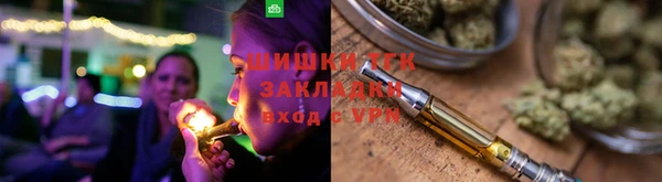 винт Абаза
