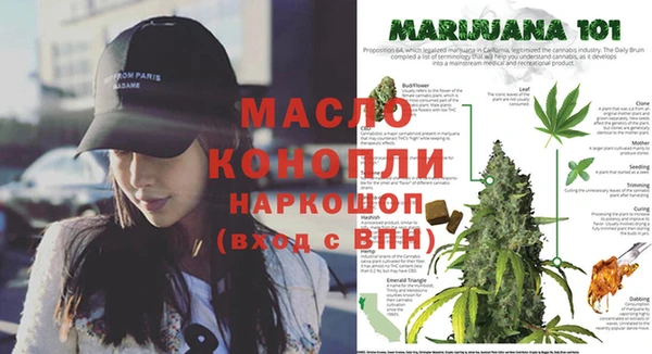 винт Абаза