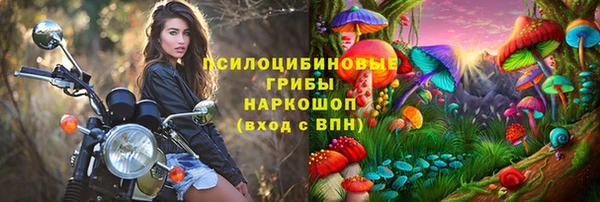амф Абинск