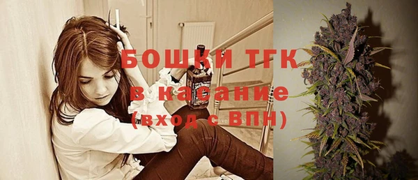 винт Абаза